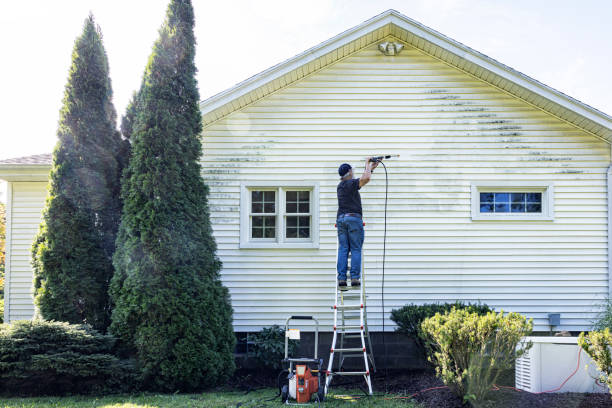 Reliable Jasper, GA Pressure Washing Services Solutions
